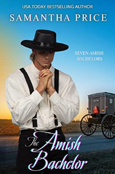 The Amish Bachelor