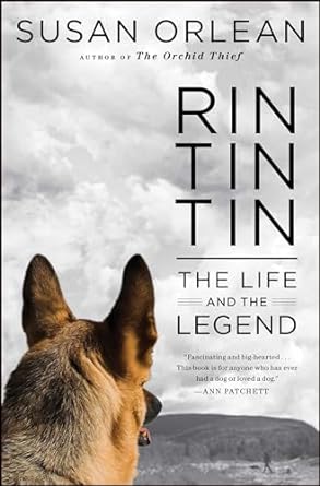Rin Tin Tin (Enhanced Edition)