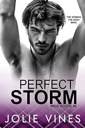 Perfect Storm by Jolie Vines