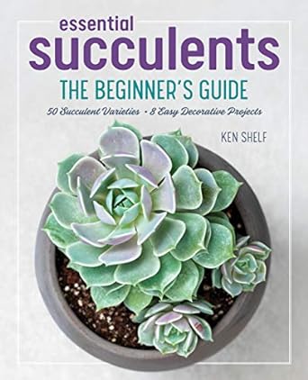 Essential Succulents