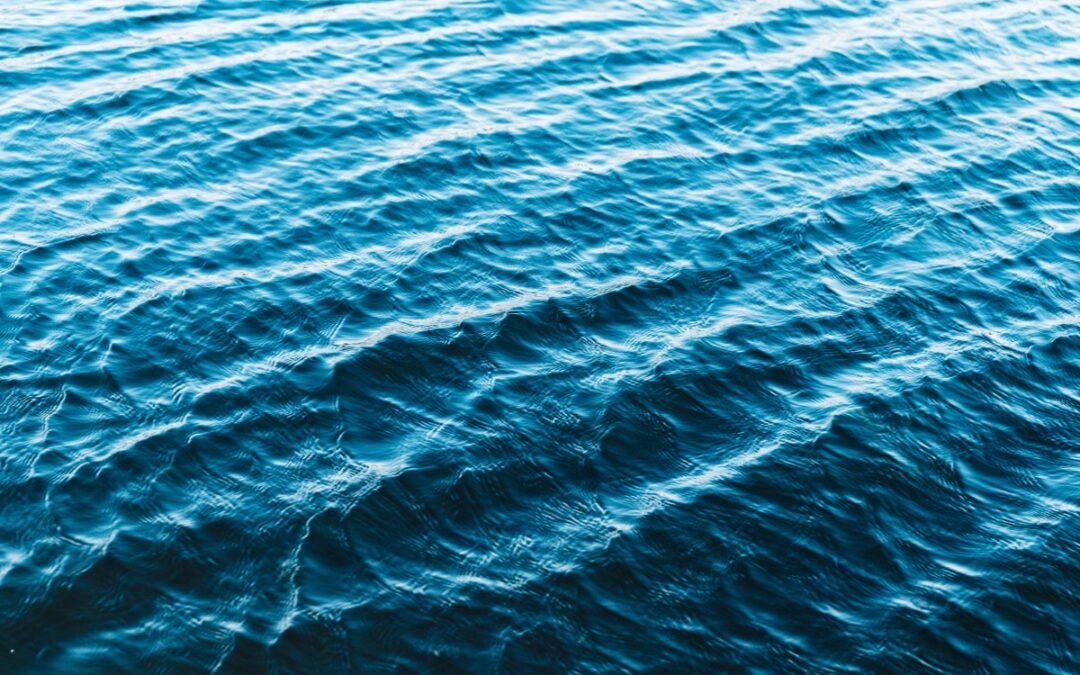 11 Contemporary Novels Where Nothing Really Happens (And That’s the Point)