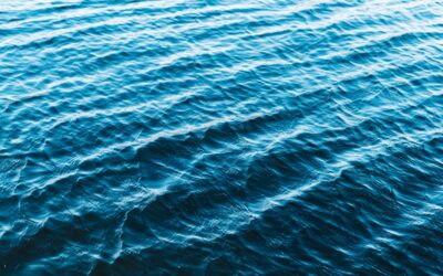 11 Contemporary Novels Where Nothing Really Happens (And That’s the Point)