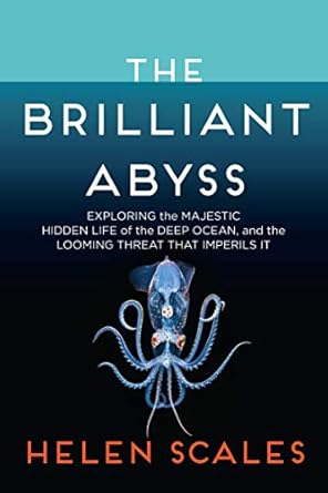 The Brilliant Abyss