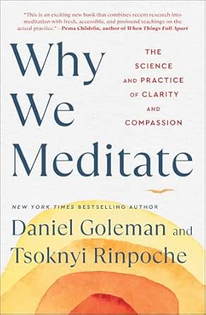 Why We Meditate