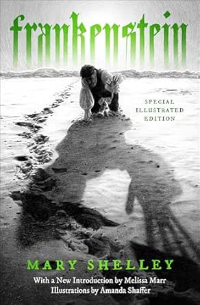 Frankenstein: Special Illustrated Edition
