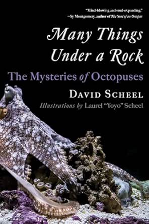 Many Things Under a Rock