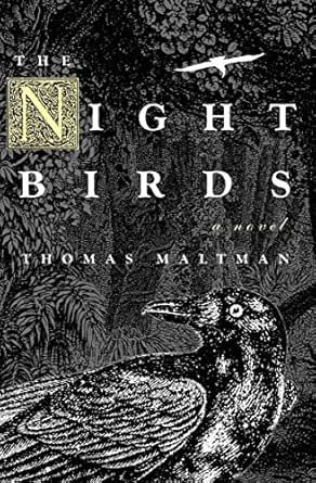 The Night Birds