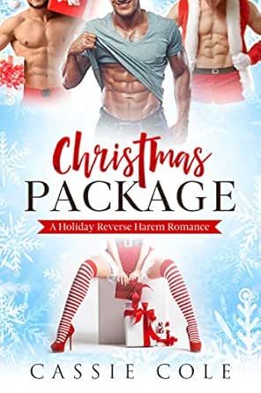Christmas Package by Cassie Cole