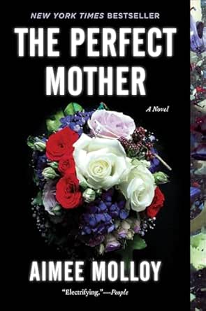 The Perfect Mother by Aimee Molloy