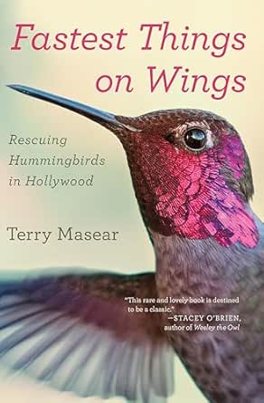 Fastest Things on Wings