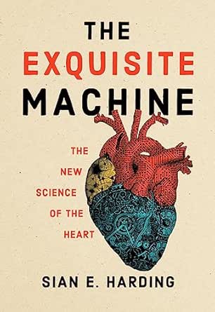 The Exquisite Machine