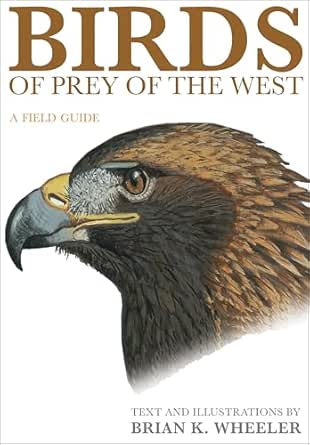 Birds of Prey of the West by Brian K. Wheeler
