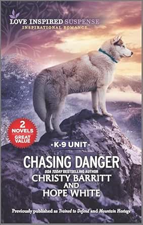 Chasing Danger (Boxed Set) by Christy Barritt