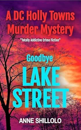 Goodbye Lake Street by Anne Shillolo