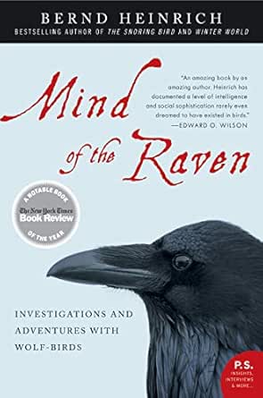 Mind of the Raven by Bernd Heinrich
