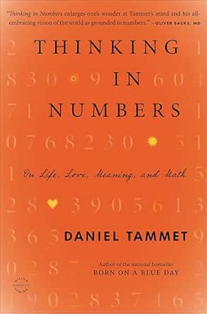Thinking in Numbers by Daniel Tammet