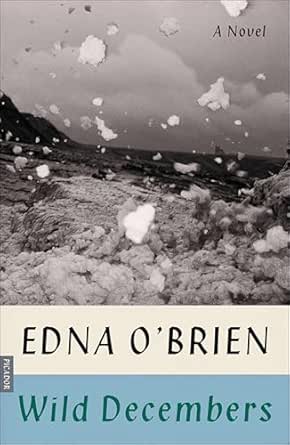 Wild Decembers by Edna O’Brien