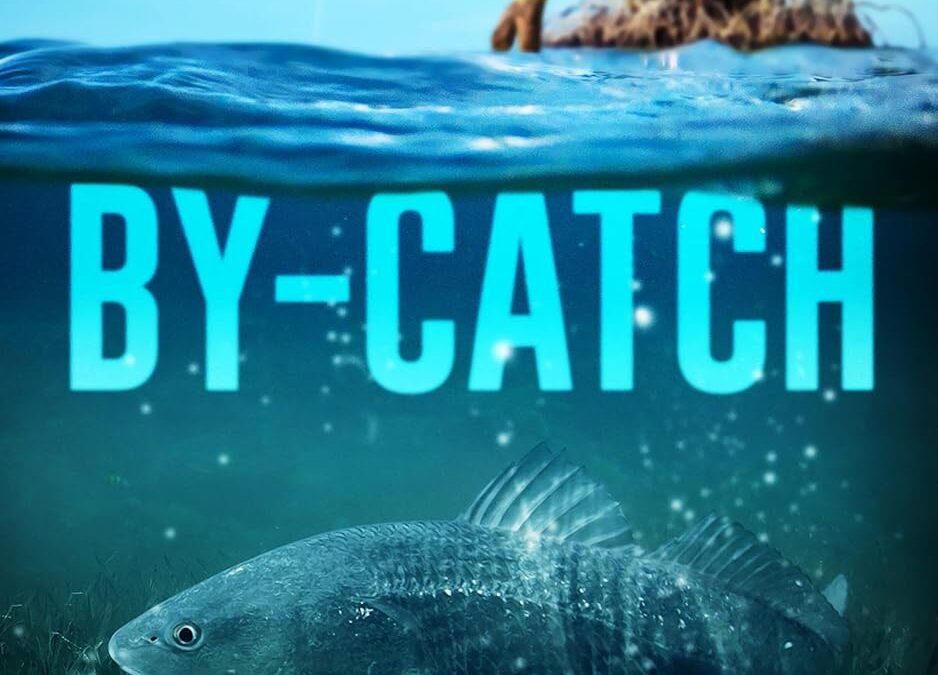 By-Catch