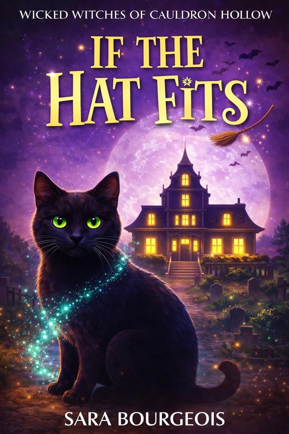 If the Hat Fits by Sara Bourgeois