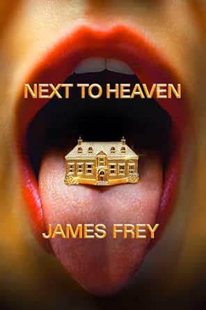 Next to Heaven by James Frey