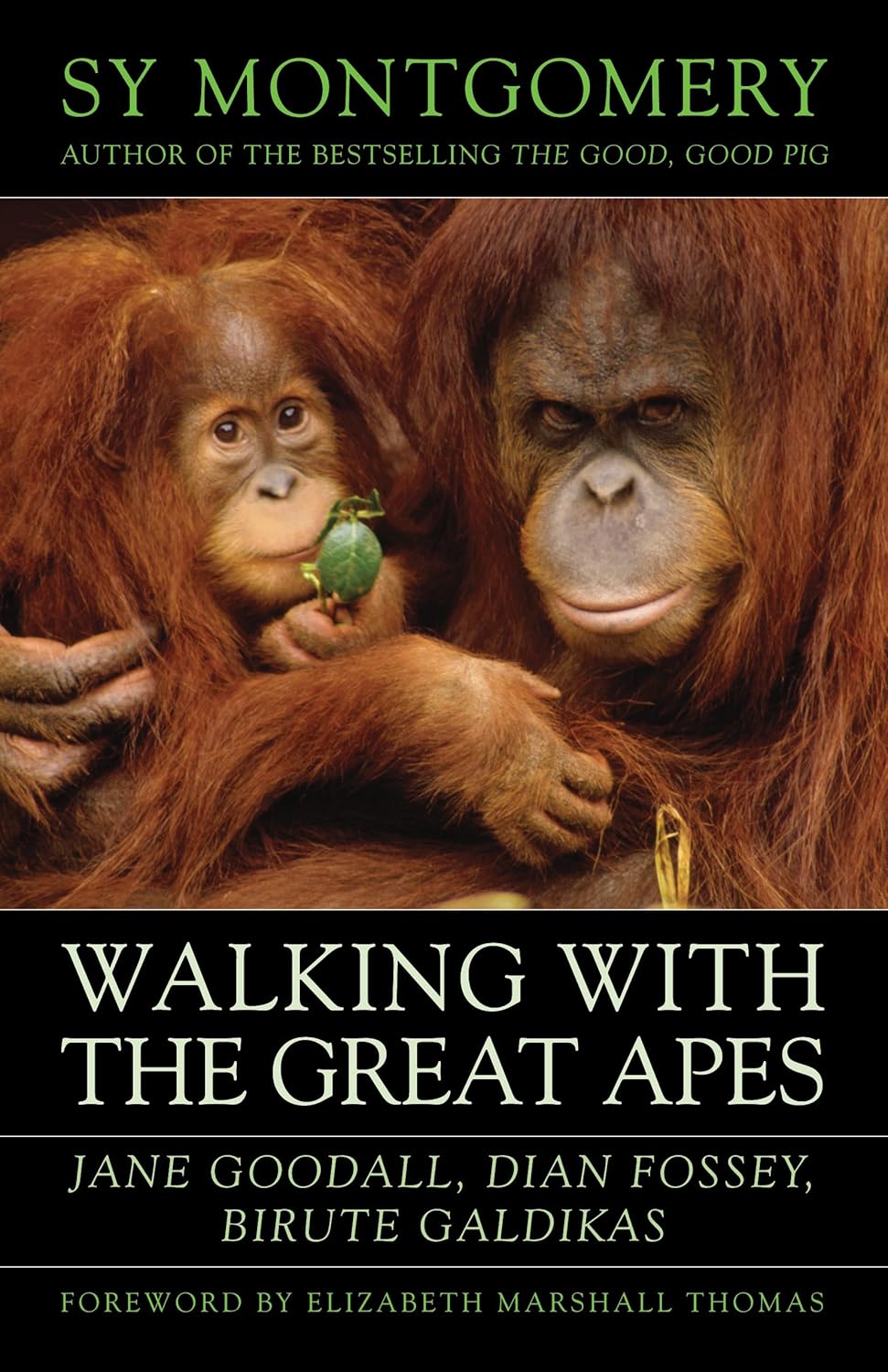 Walking with the Great Apes by Sy Montgomery