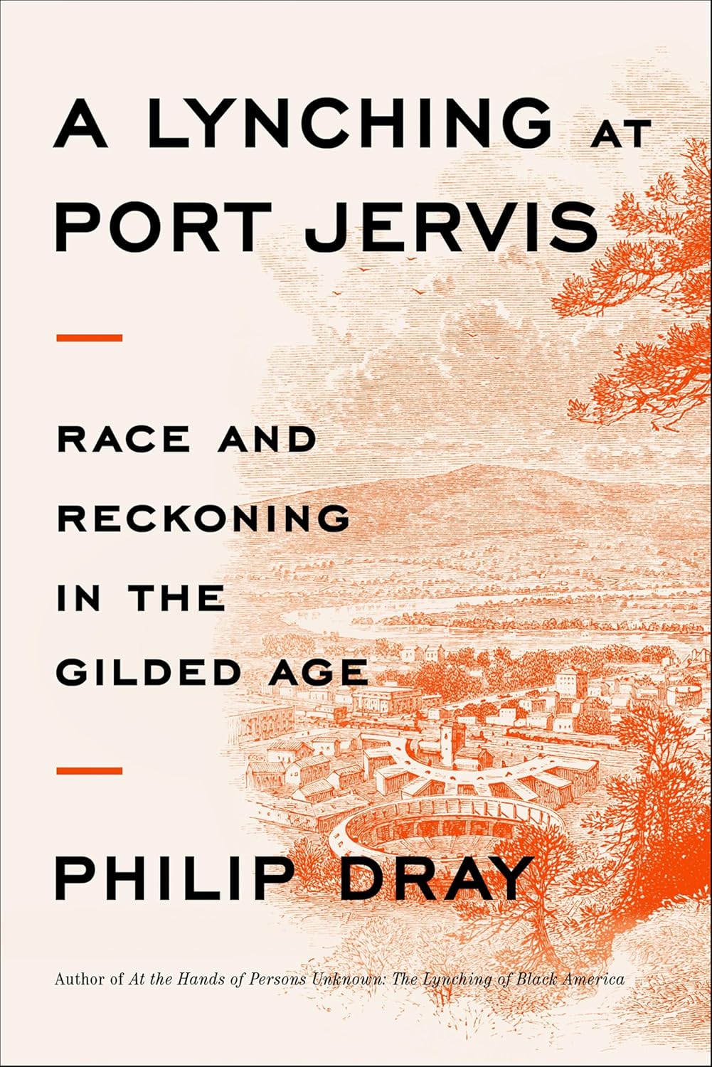 A Lynching at Port Jervis by Philip Dray