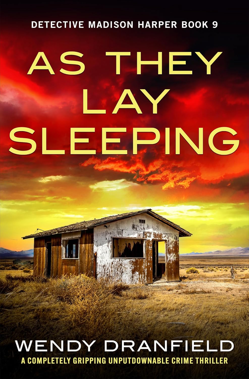 As They Lay Sleeping by Wendy Dranfield