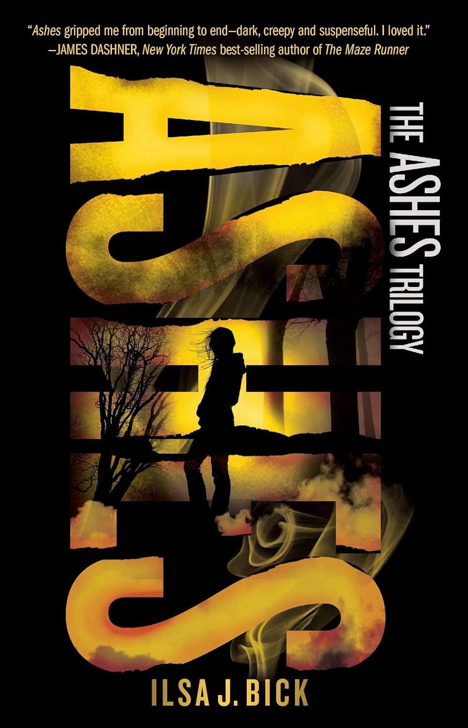 Ashes by Ilsa J. Bick