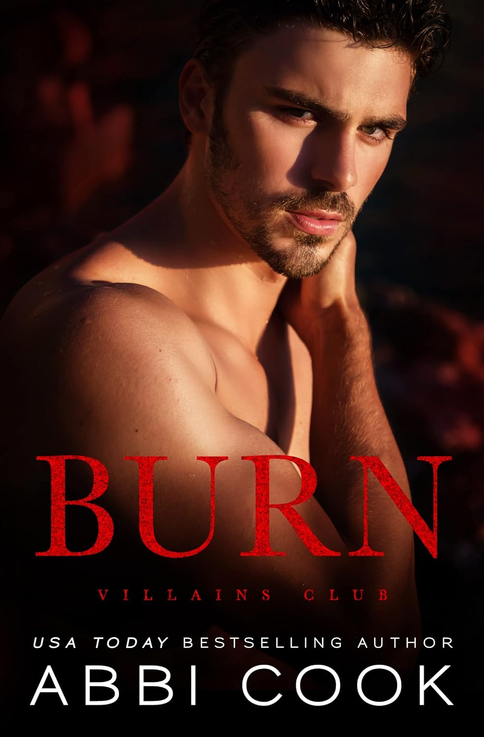 Burn by Abbi Cook