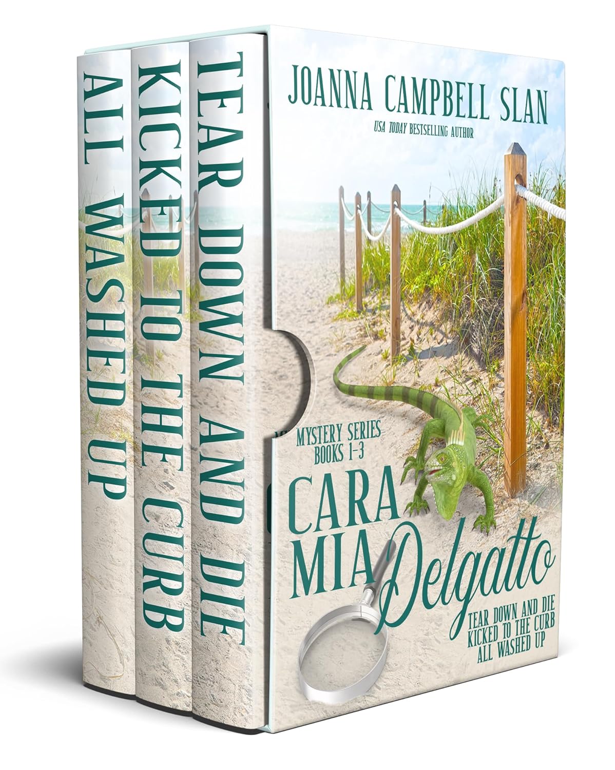 Cara Mia Delgatto Mysteries (Boxed Set) by Joanna Campbell Slan