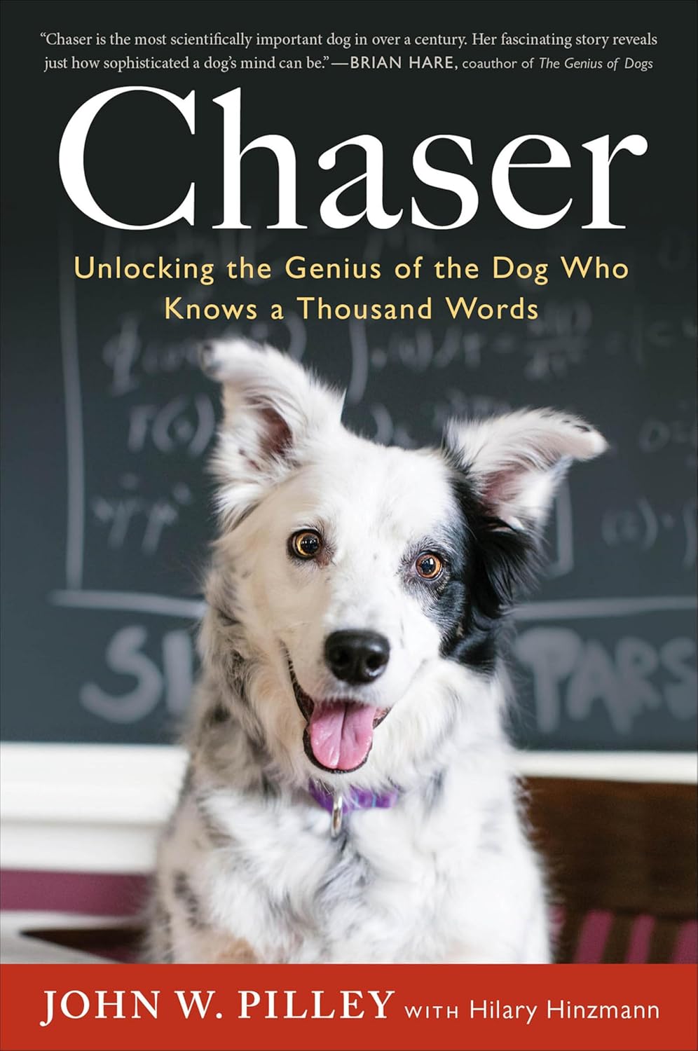 Chaser by John W. Pilley