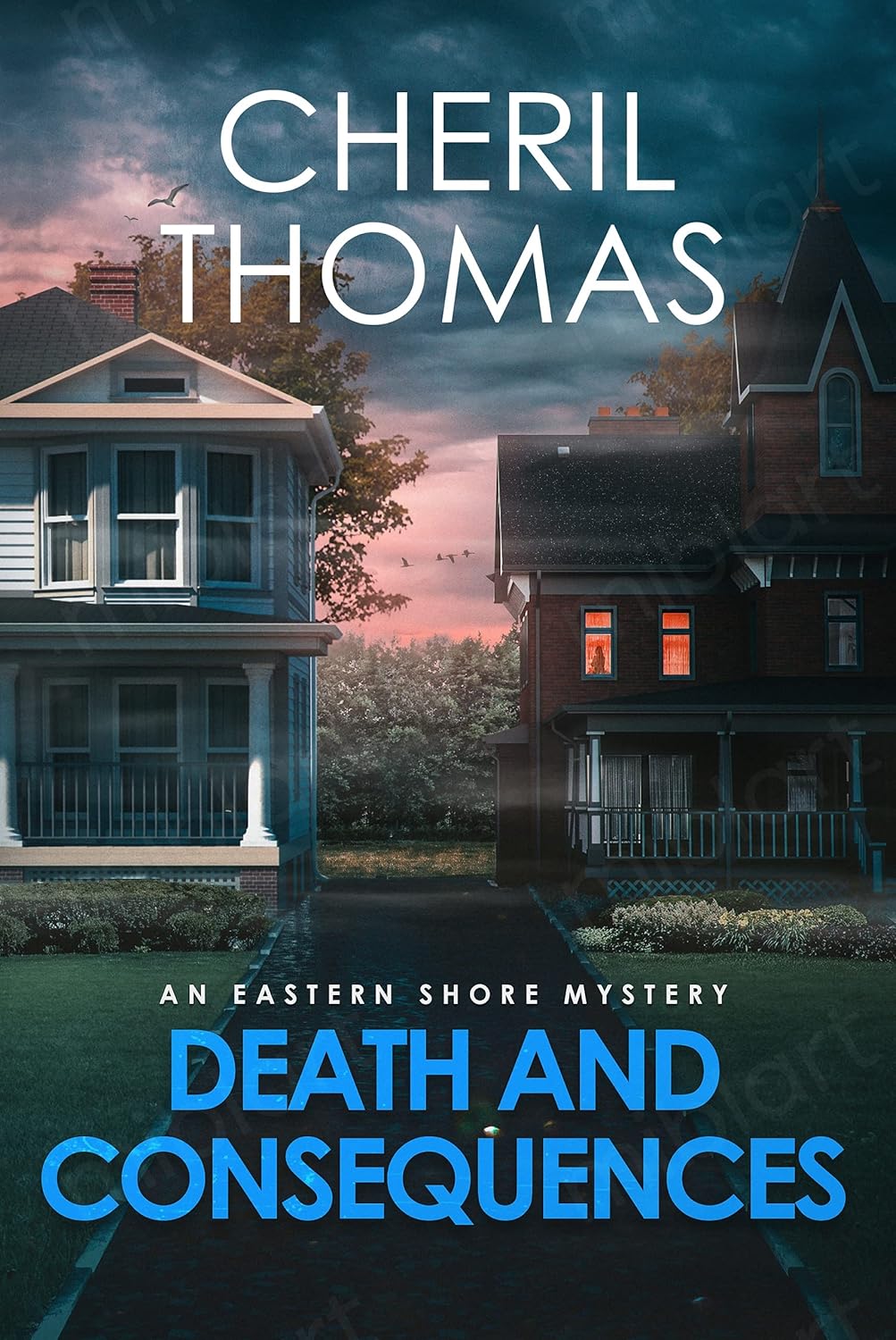 Death and Consequences by Cheril Thomas