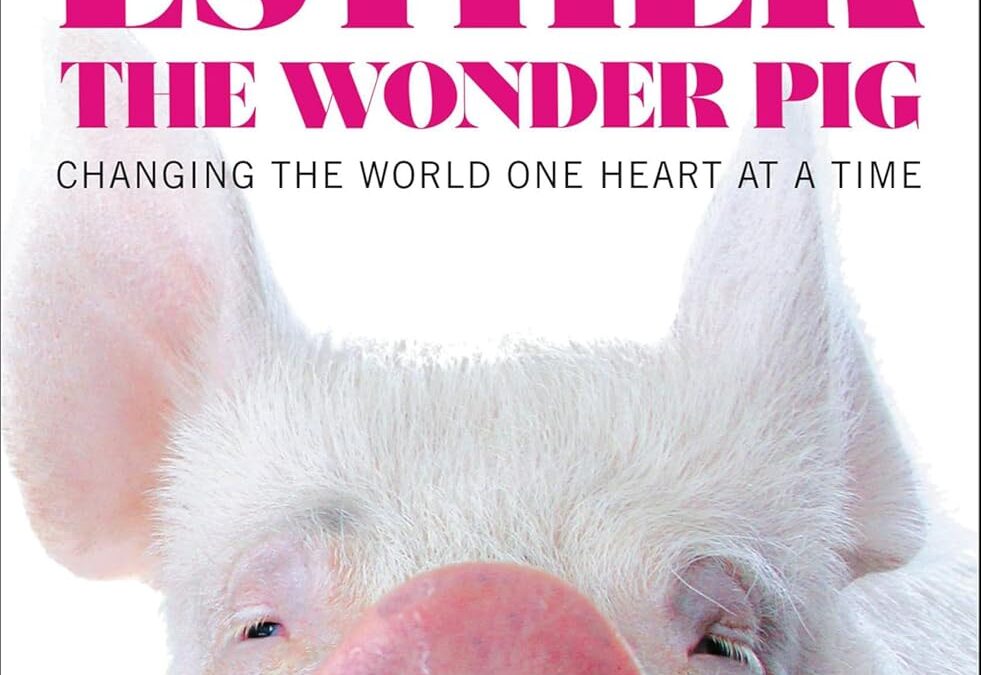 Esther the Wonder Pig