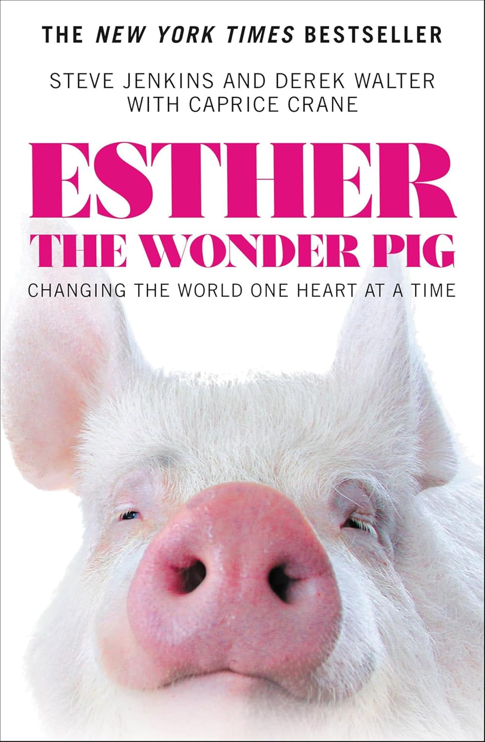 Esther the Wonder Pig by Steve Jenkins