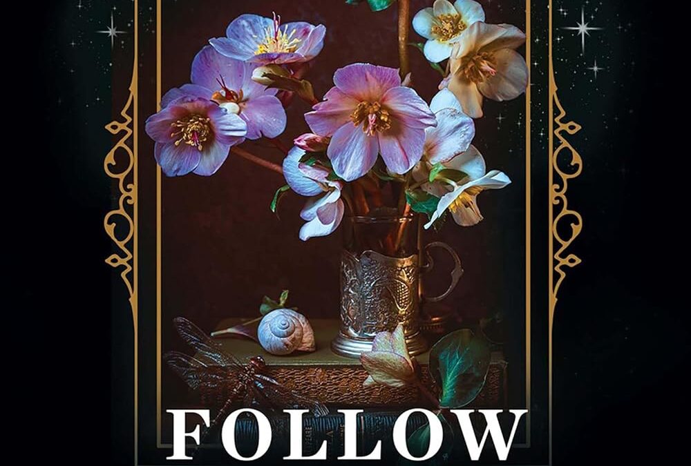 Follow the Stars Home