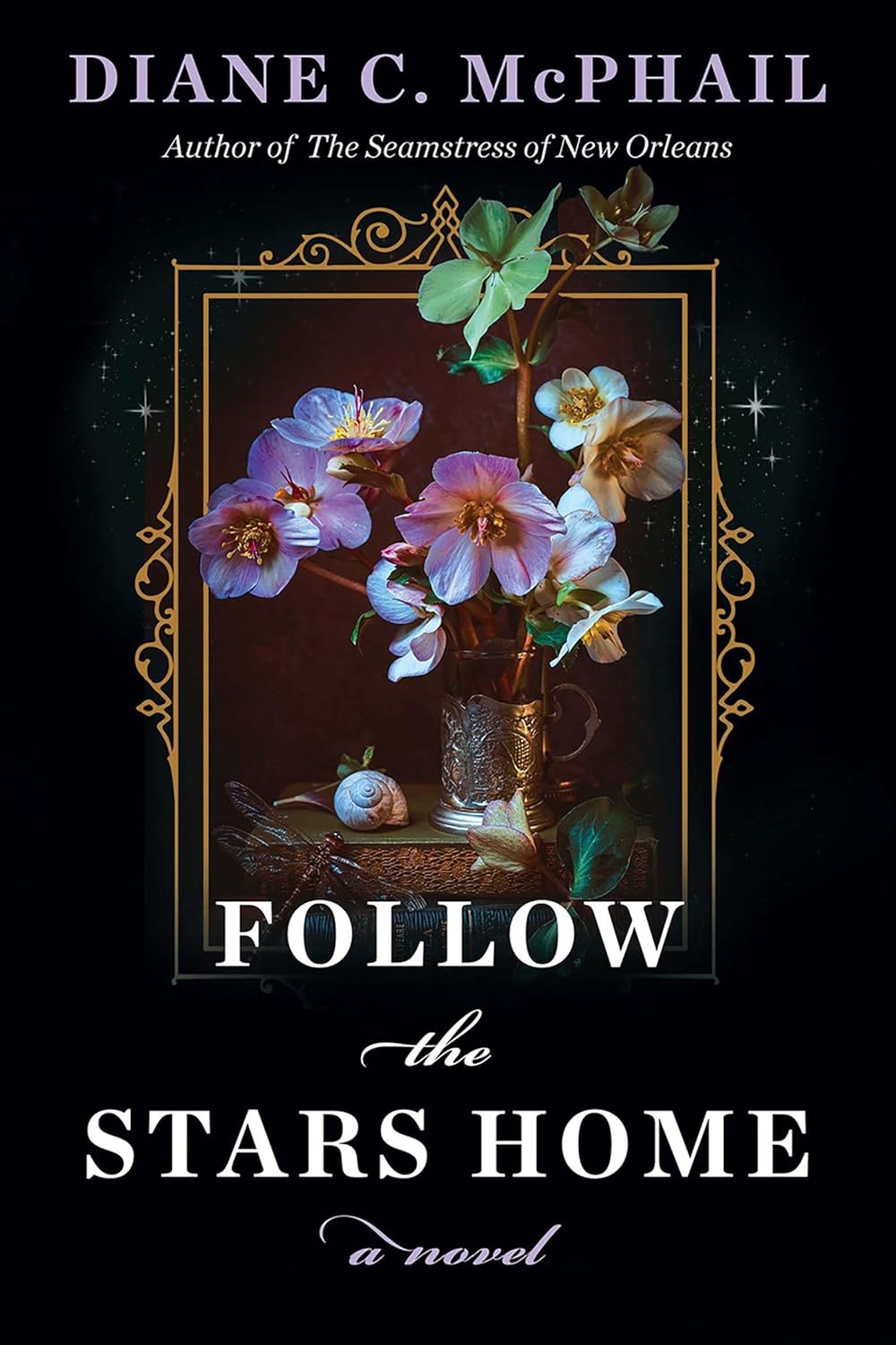 Follow the Stars Home by Diane C. McPhail