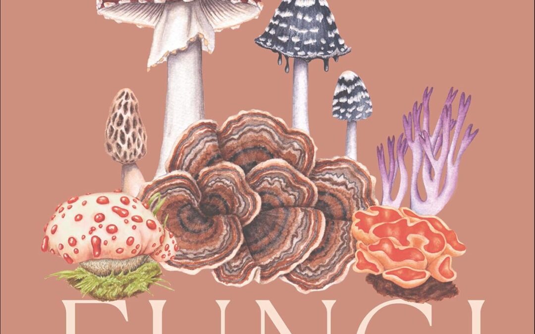 Fungi