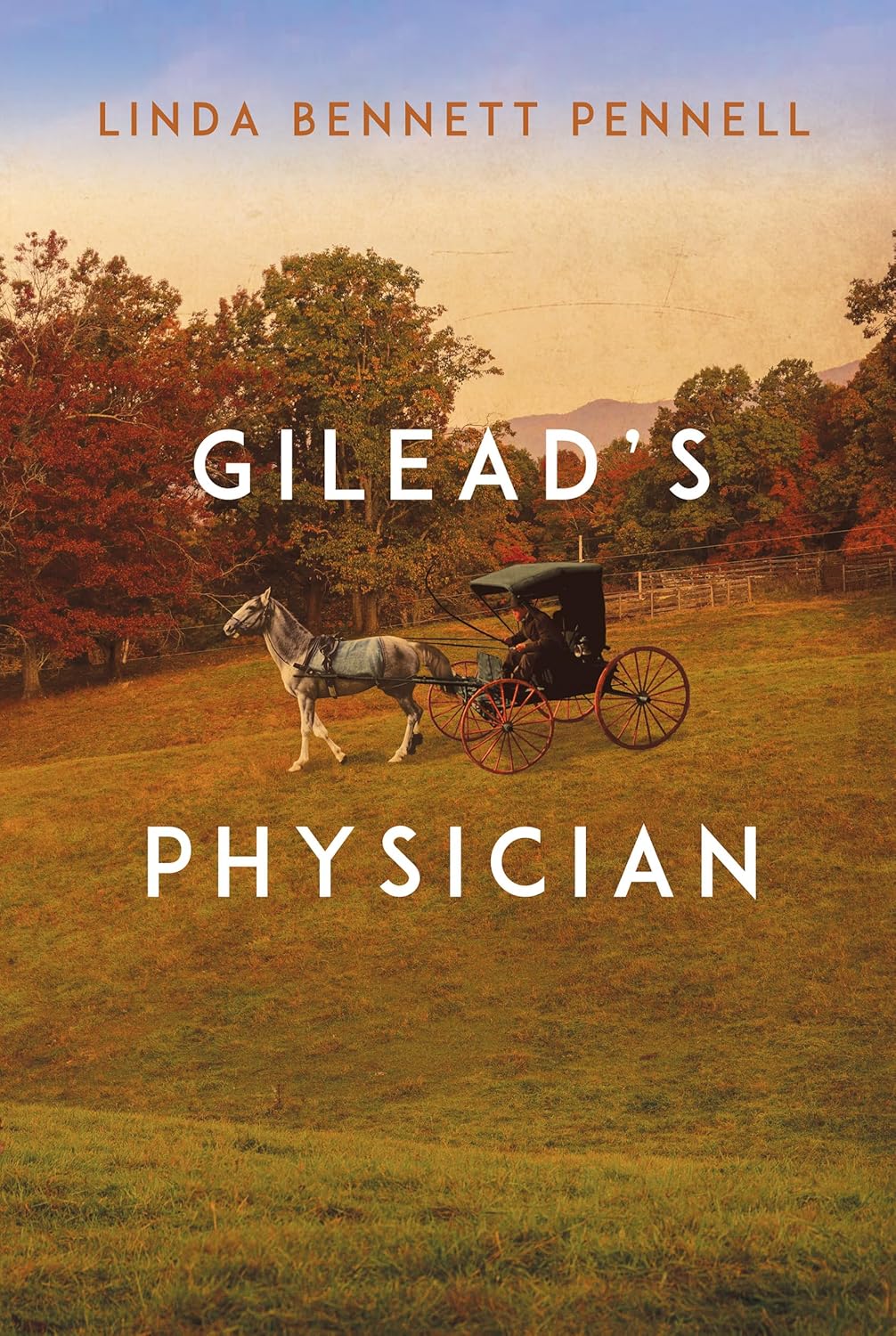 Gilead’s Physician by Linda Bennett Pennell