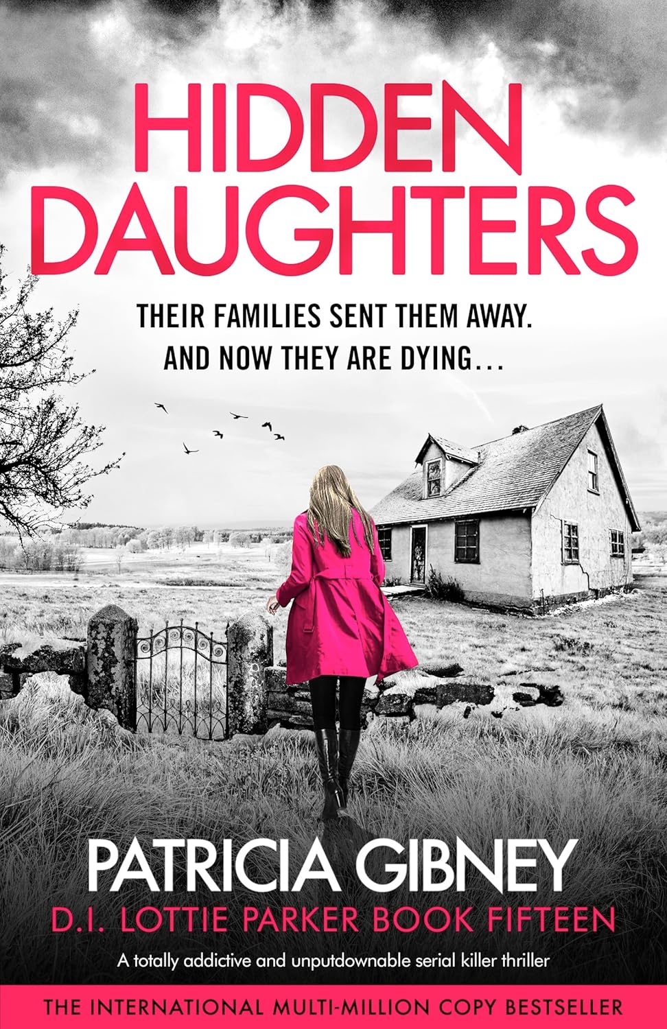 Hidden Daughters by Patricia Gibney