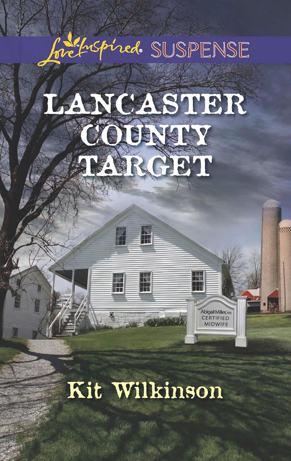 Lancaster County Target by Kit Wilkinson