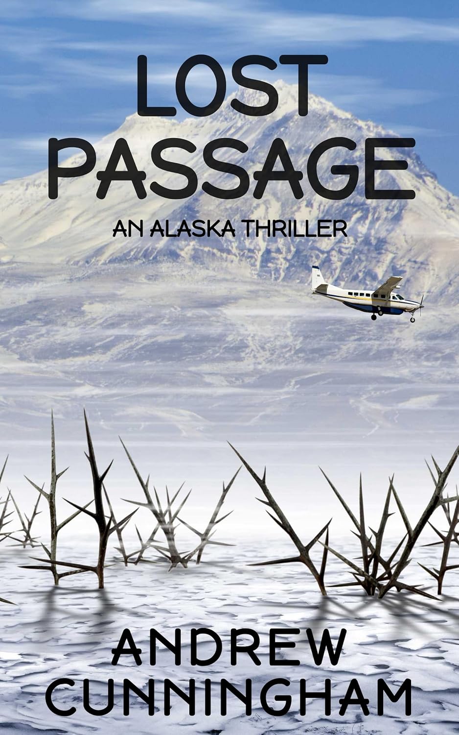 Lost Passage by Andrew Cunningham