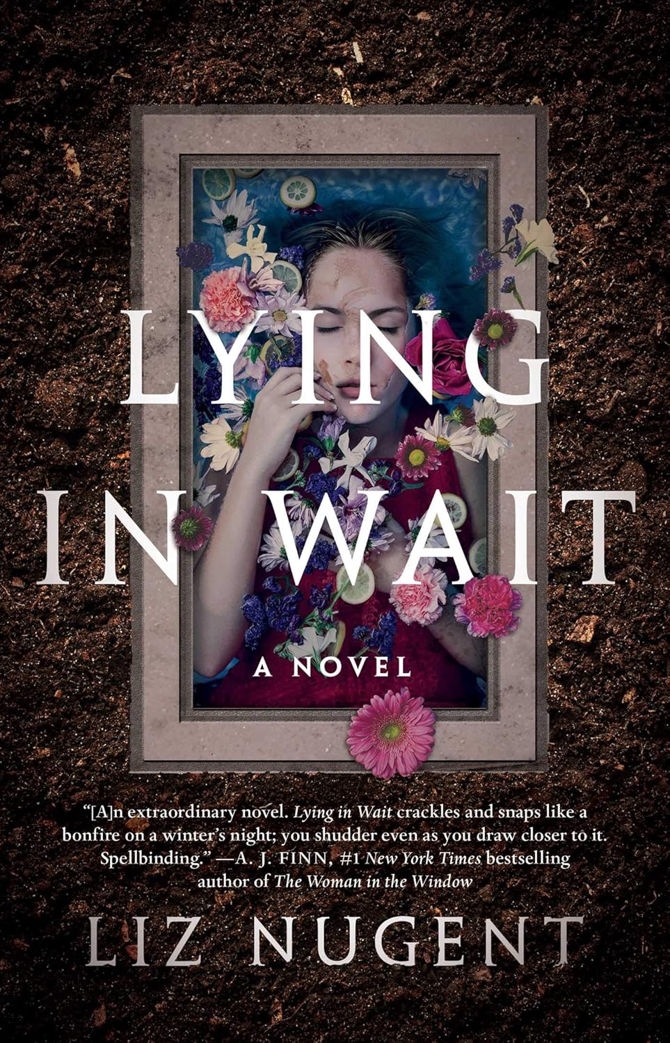 Lying in Wait by Liz Nugent