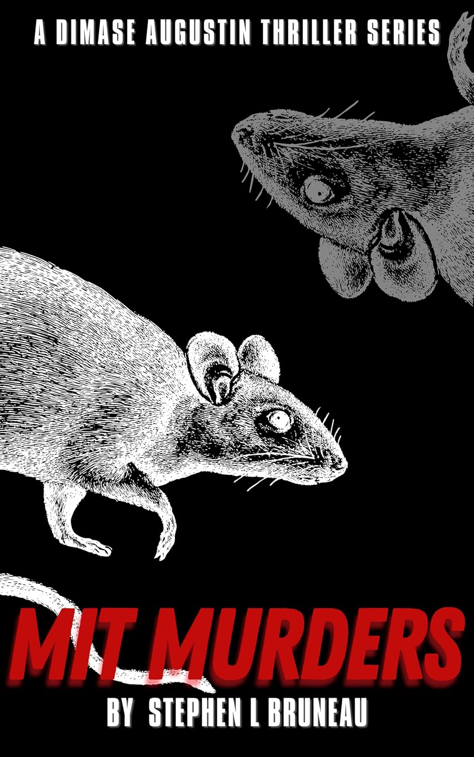 MIT Murders by Stephen L Bruneau