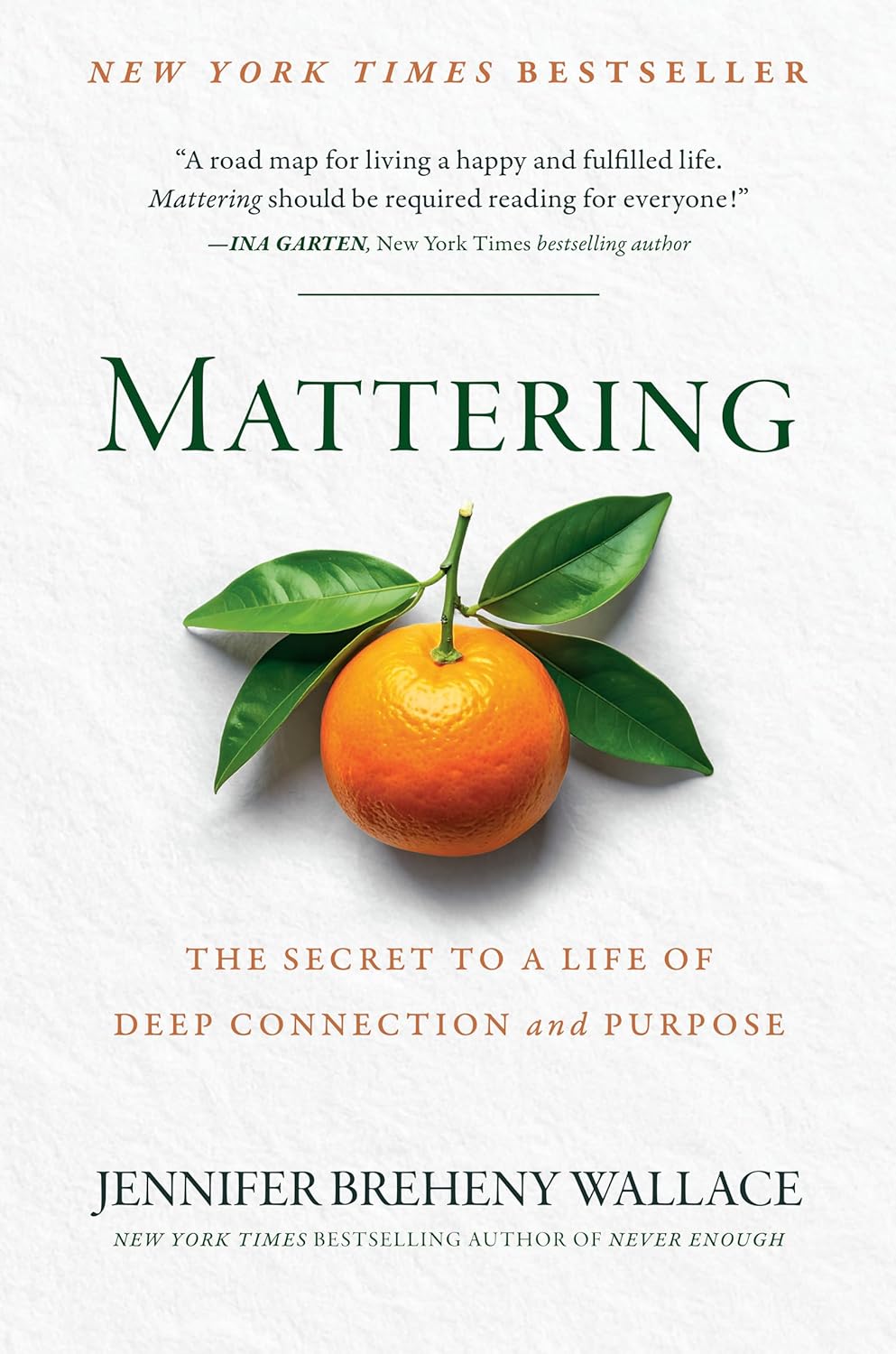 Mattering by Jennifer Breheny Wallace