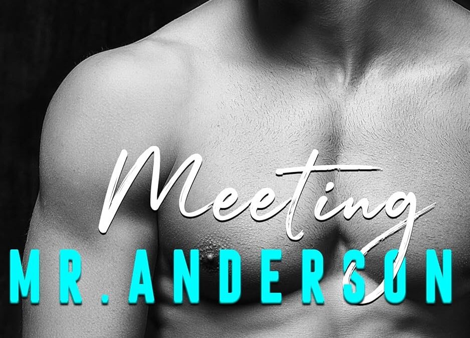 Meeting Mr. Anderson