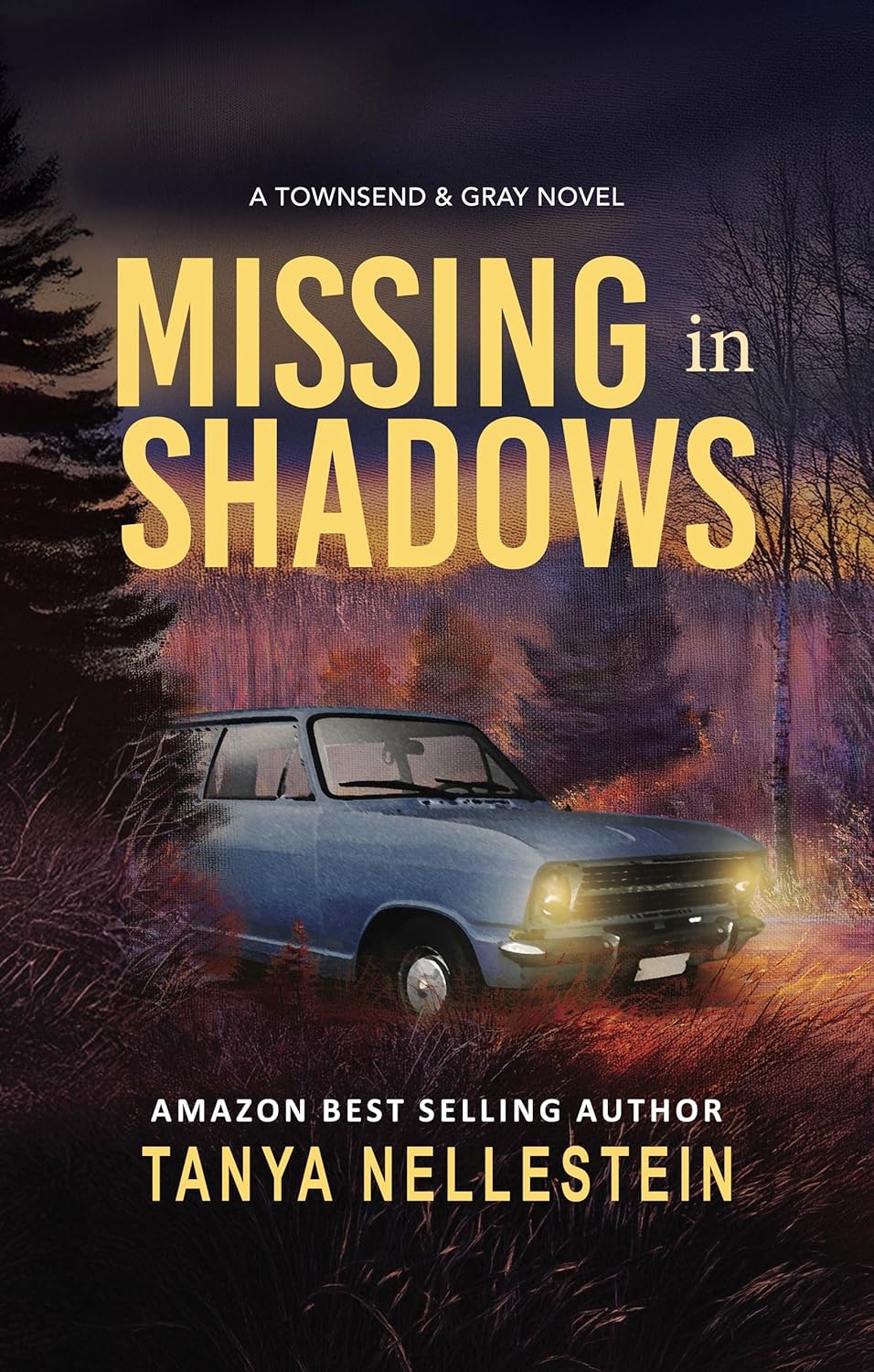 Missing in Shadows by Tanya Nellestein