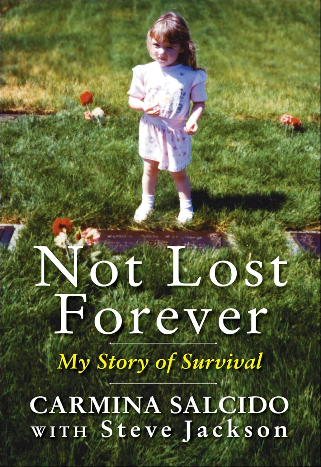 Not Lost Forever by Steve Jackson