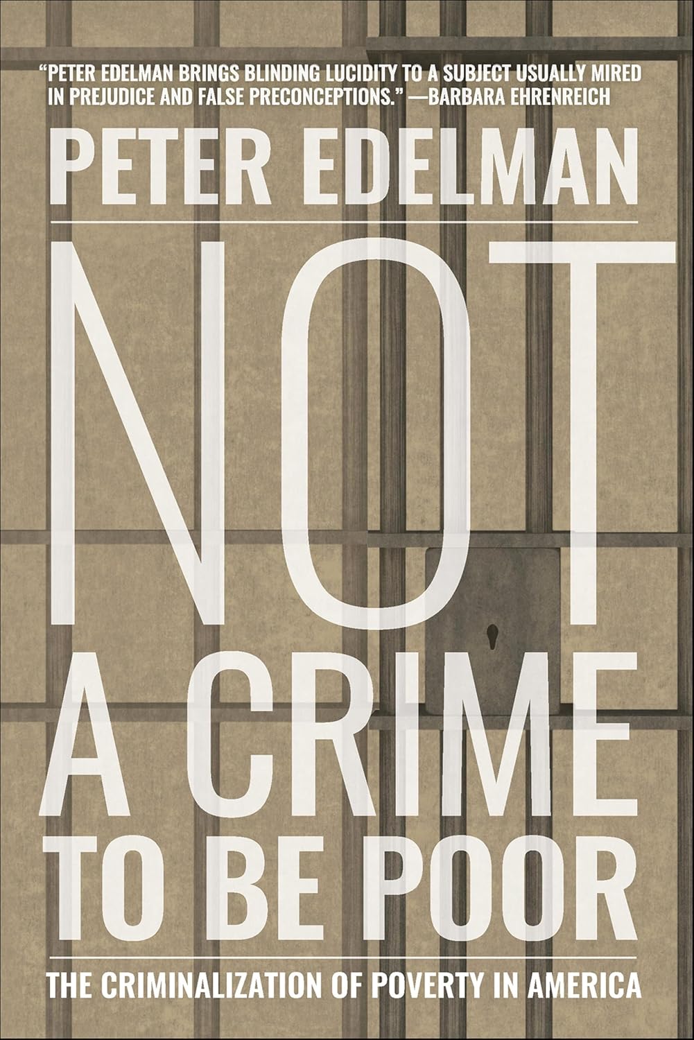 Not a Crime to Be Poor by Peter Edelman