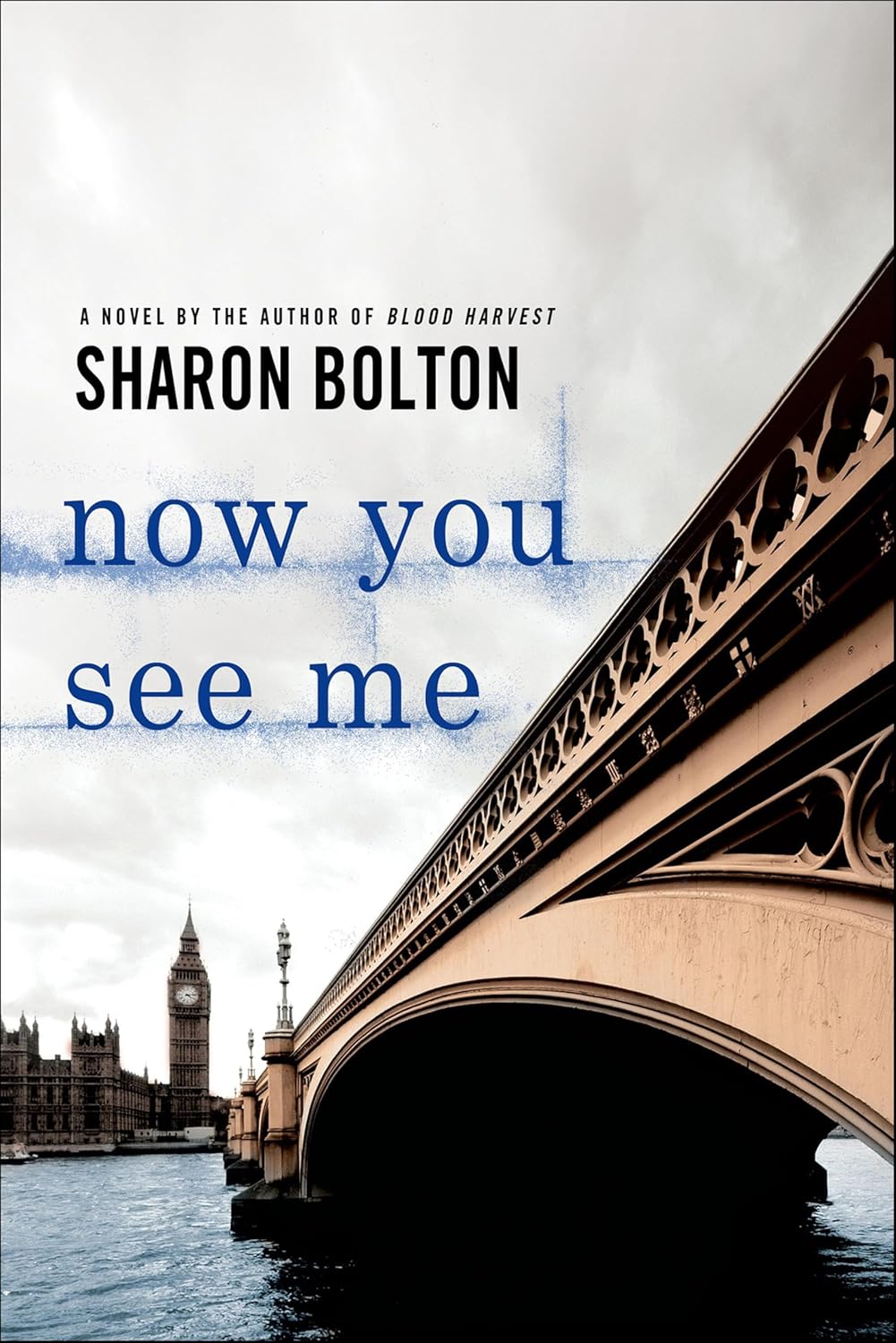 Now You See Me by Sharon Bolton