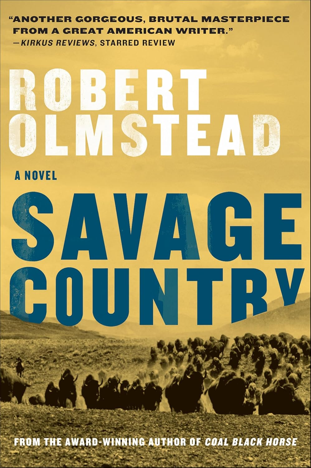 Savage Country by Robert Olmstead